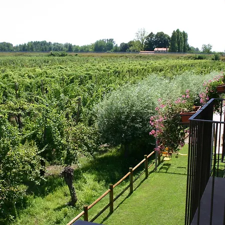 Borgo Ronchetto 萨加力达