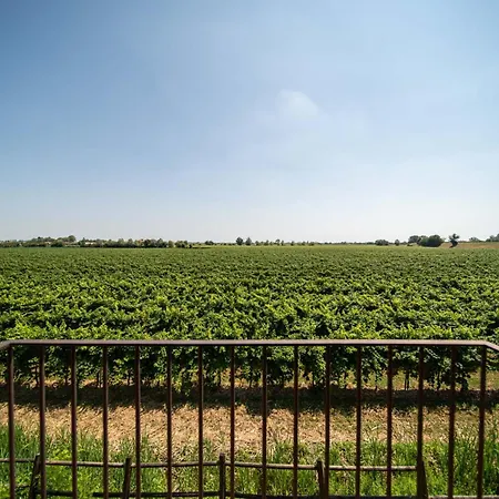 Hotel Borgo Ronchetto Relais&gourmet Salgareda